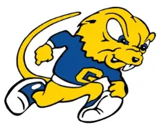Goucher College lacrosse logo
